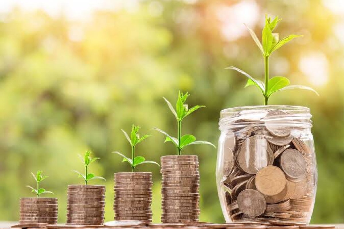 Economia Solidária: desenvolvimento sustentável