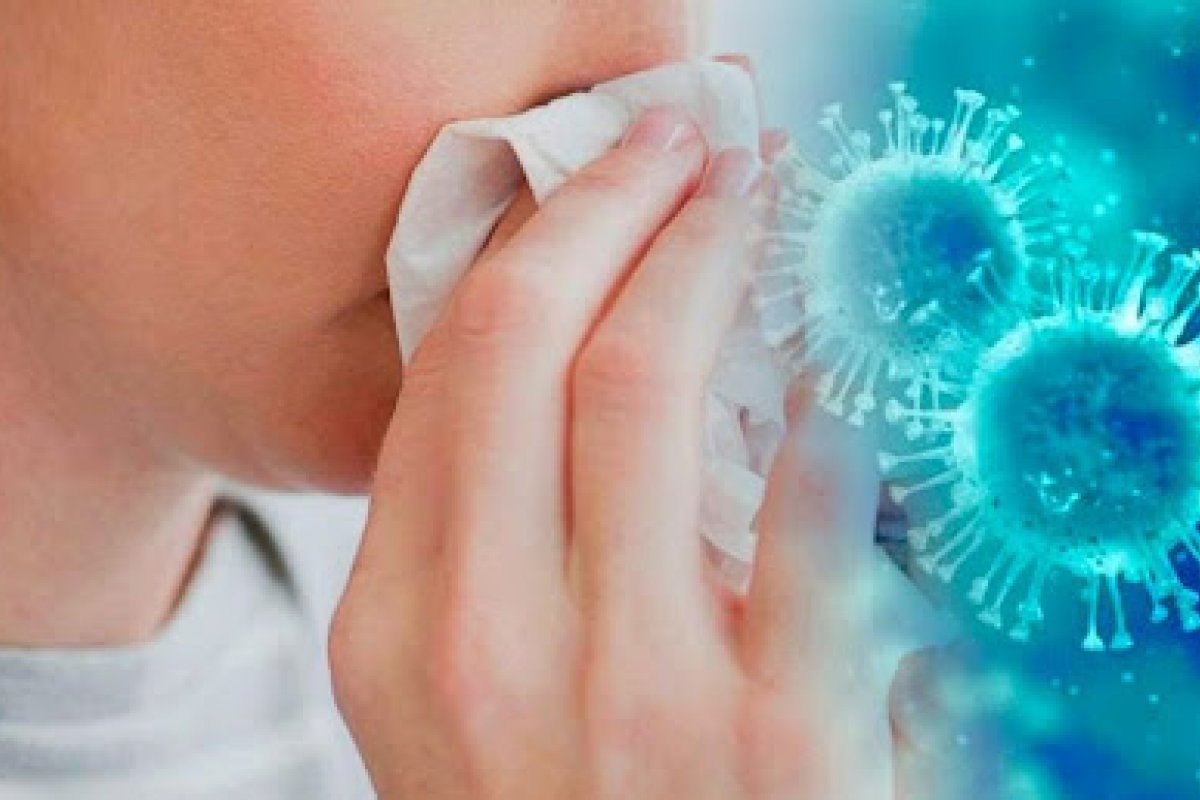 Variante H3N2 atinge ao menos 17 estados do Brasil