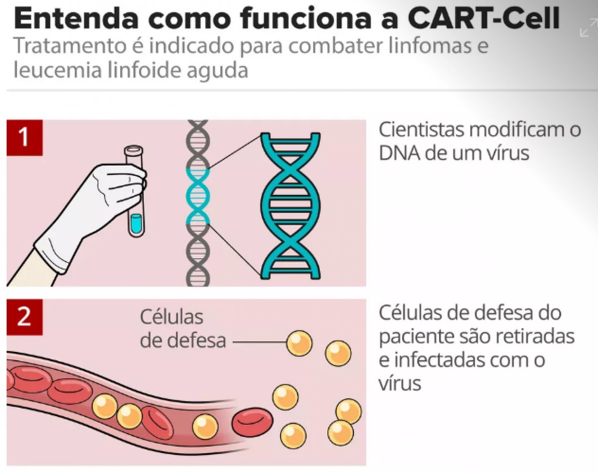 Que Relação Existe Entre A Terapia Gênica E Os Vírus