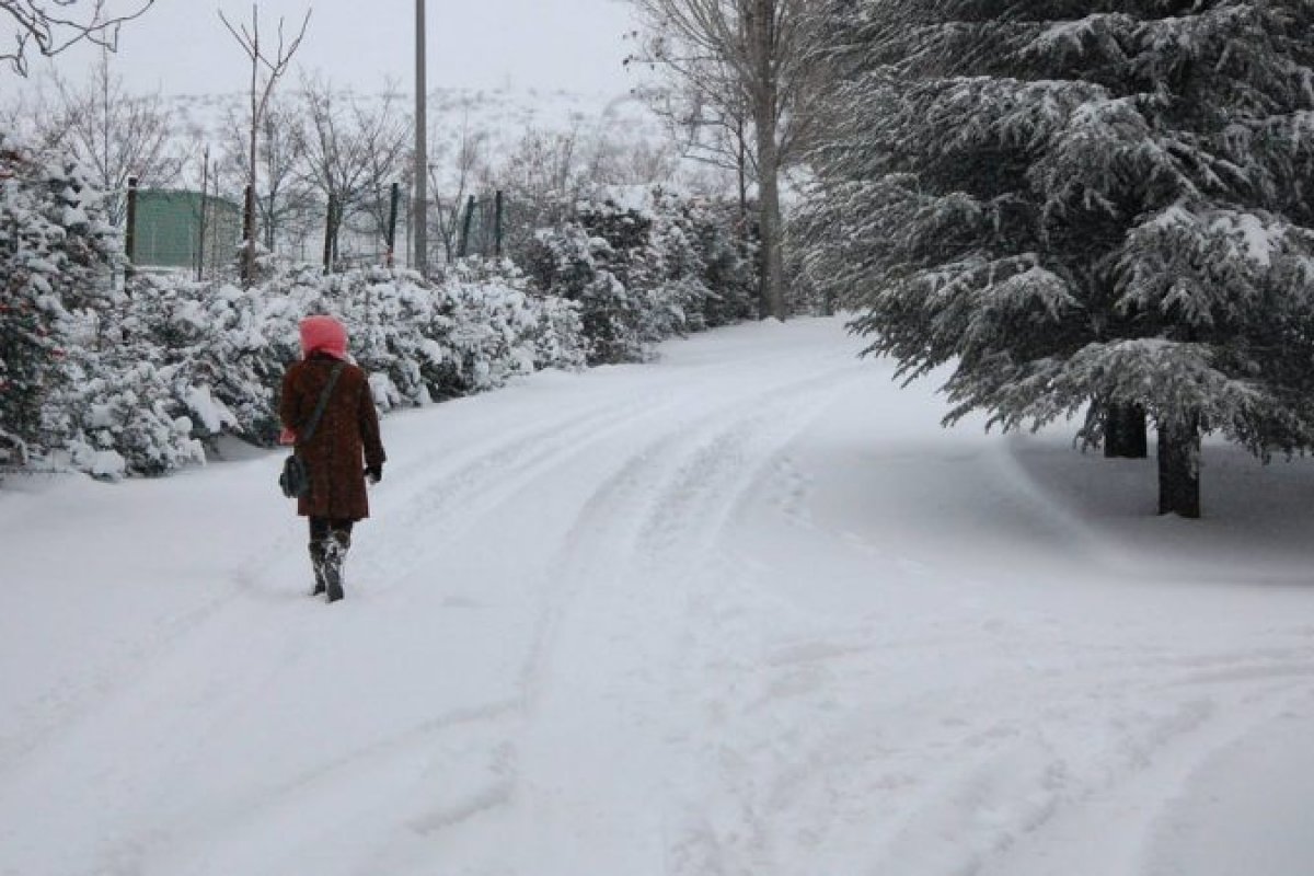 [Menina de 10 anos sobrevive a tempestade de neve na Sibéria abraçando um cachorro]