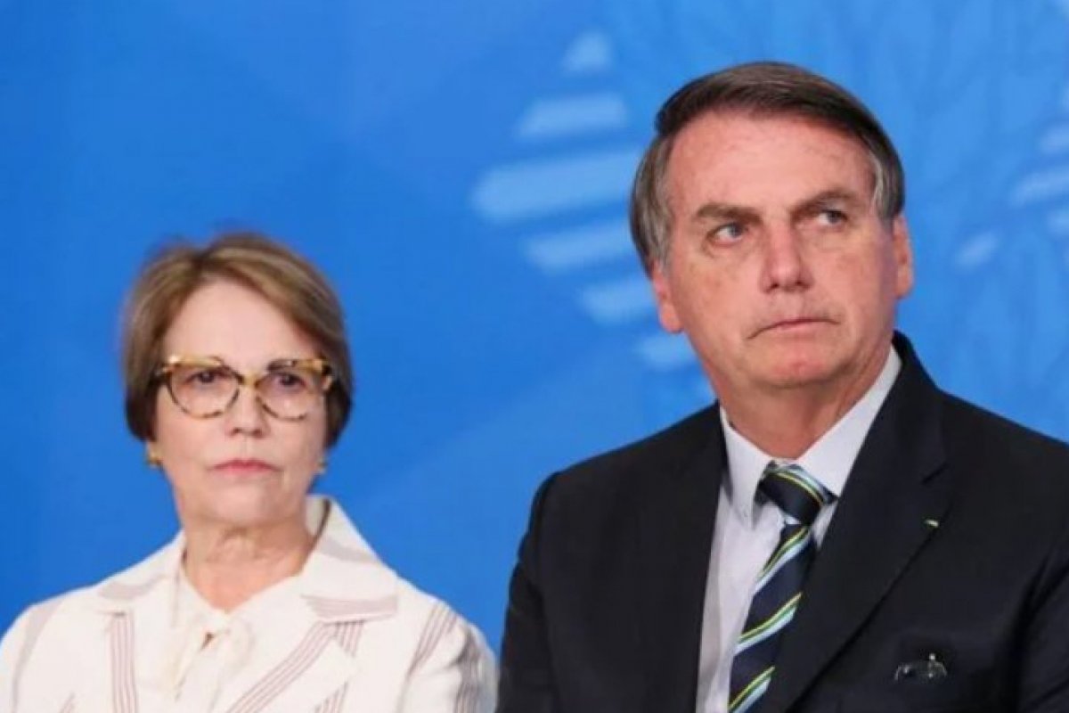 [Bolsonaro diz que Tereza Cristina se equivocou ao voltar por urgência da PL das Fake News]