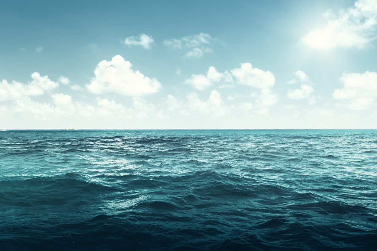 [Oceanos registraram recorde de temperatura e acidez em 2021, afirma OMM]