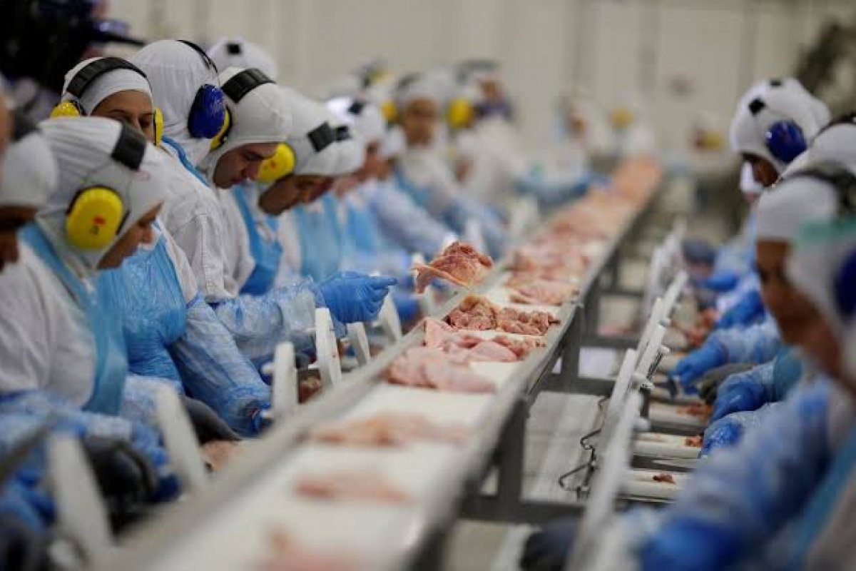 [Exportação de frango cresce quase 40% em maio, aponta ABPA]