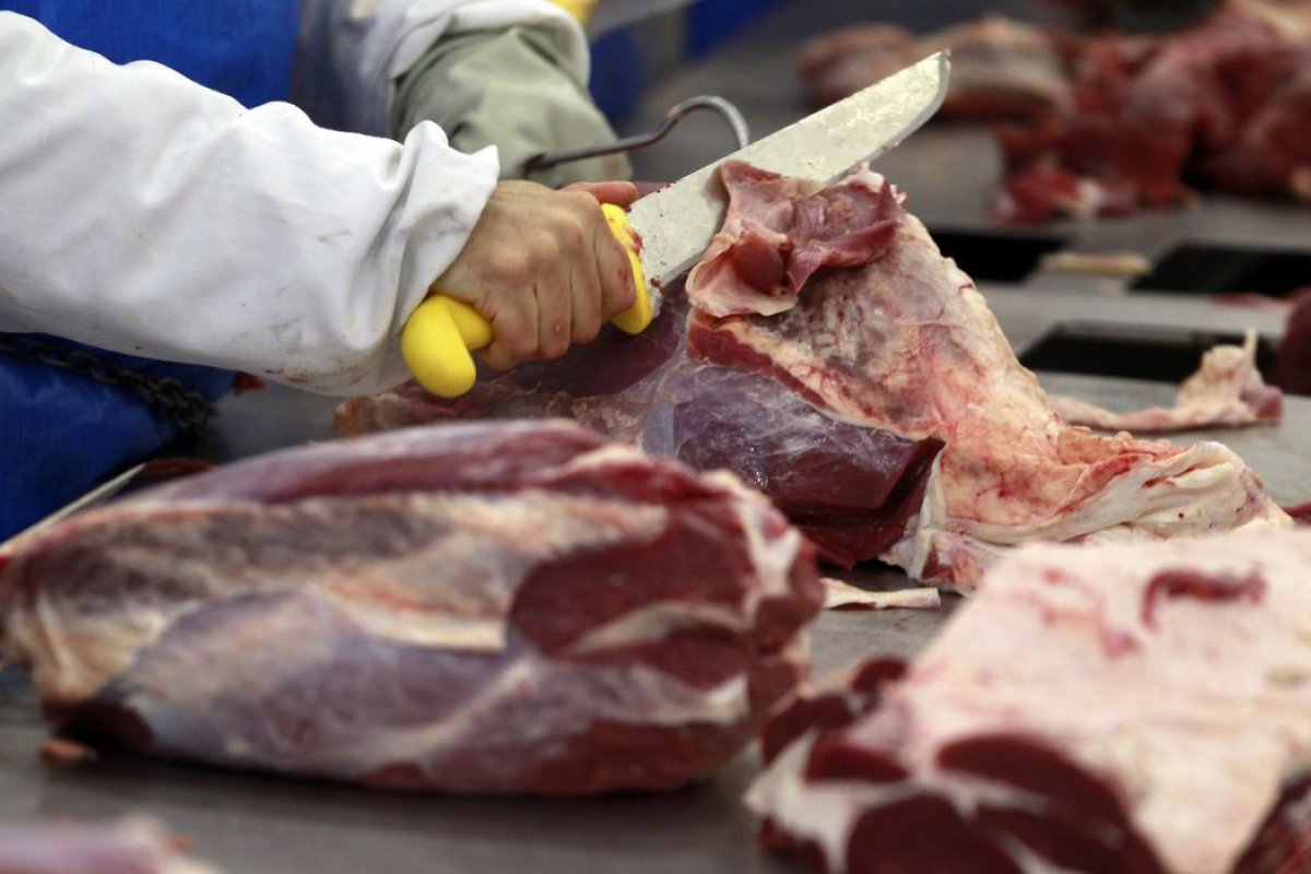 [Com preço de proteínas em alta, brasileiros tem optado pela carne suína ]
