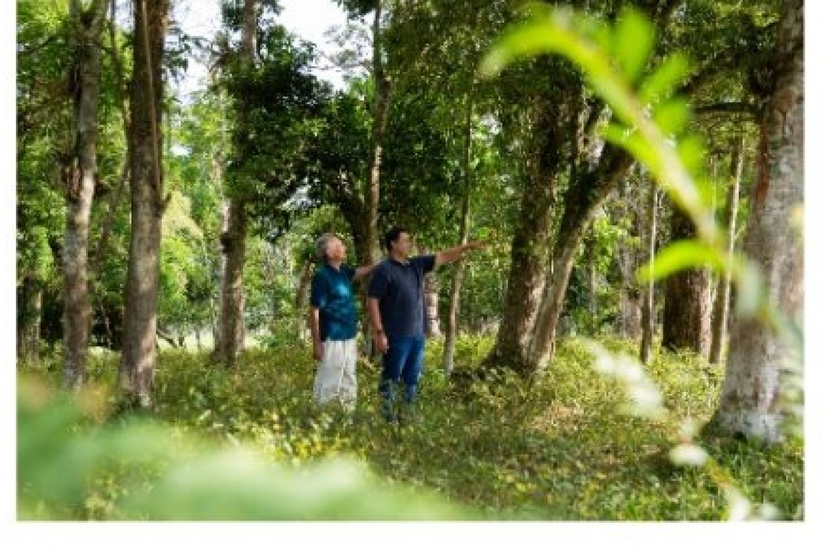 Santa Catarina hospedará o terceiro maior parque urbano do Brasil! Turismo Farol da Bahia Santa Catarina hospedará o terceiro maior parque urbano do Brasil! Turismo Farol da Bahia