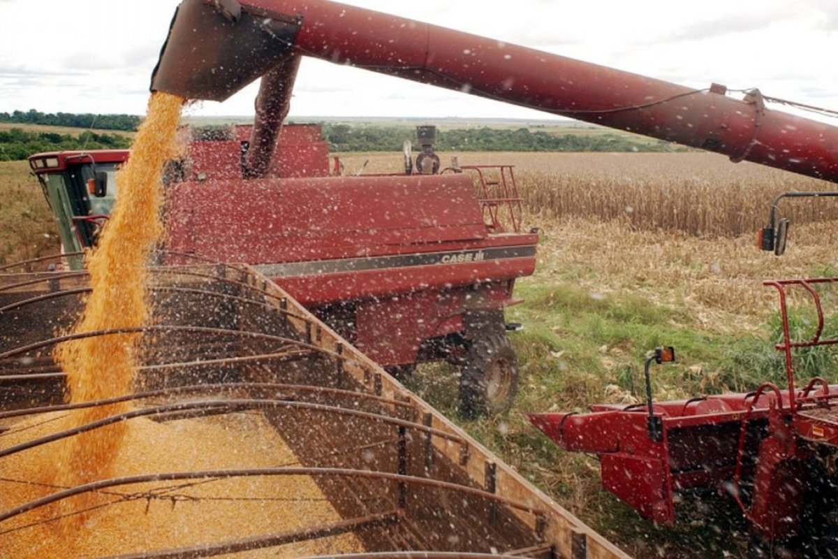 [Retomada das exportações de grãos ucranianos pode reduzir preços dos grãos no Brasil]