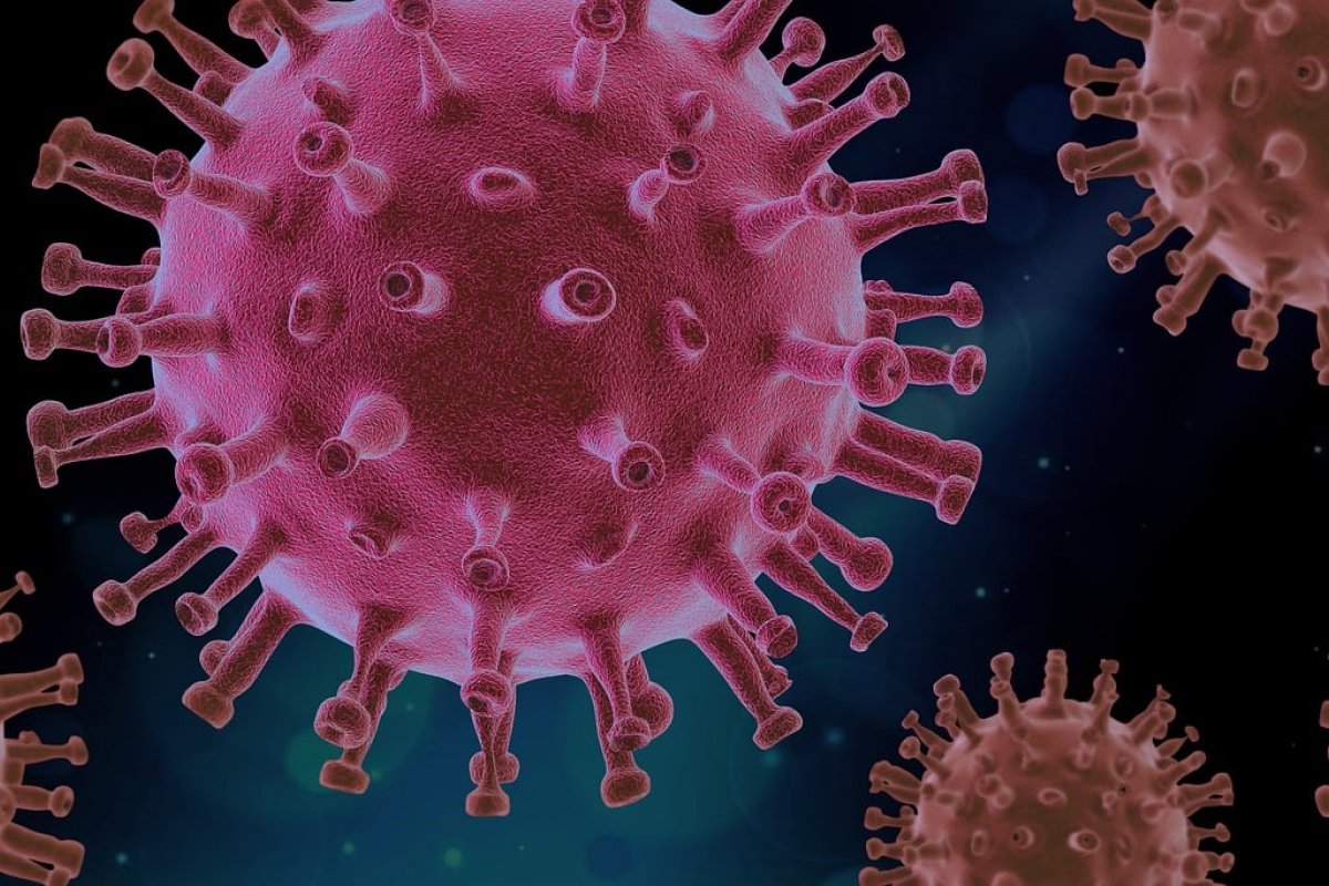 [OMS se reúne nesta quinta-feira (4) para decidir se a Covid-19 ainda é uma pandemia]