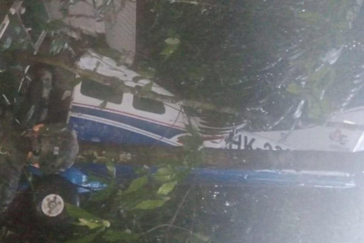 [Um bebê e três crianças são encontrados vivos após queda de avião na Colômbia ]