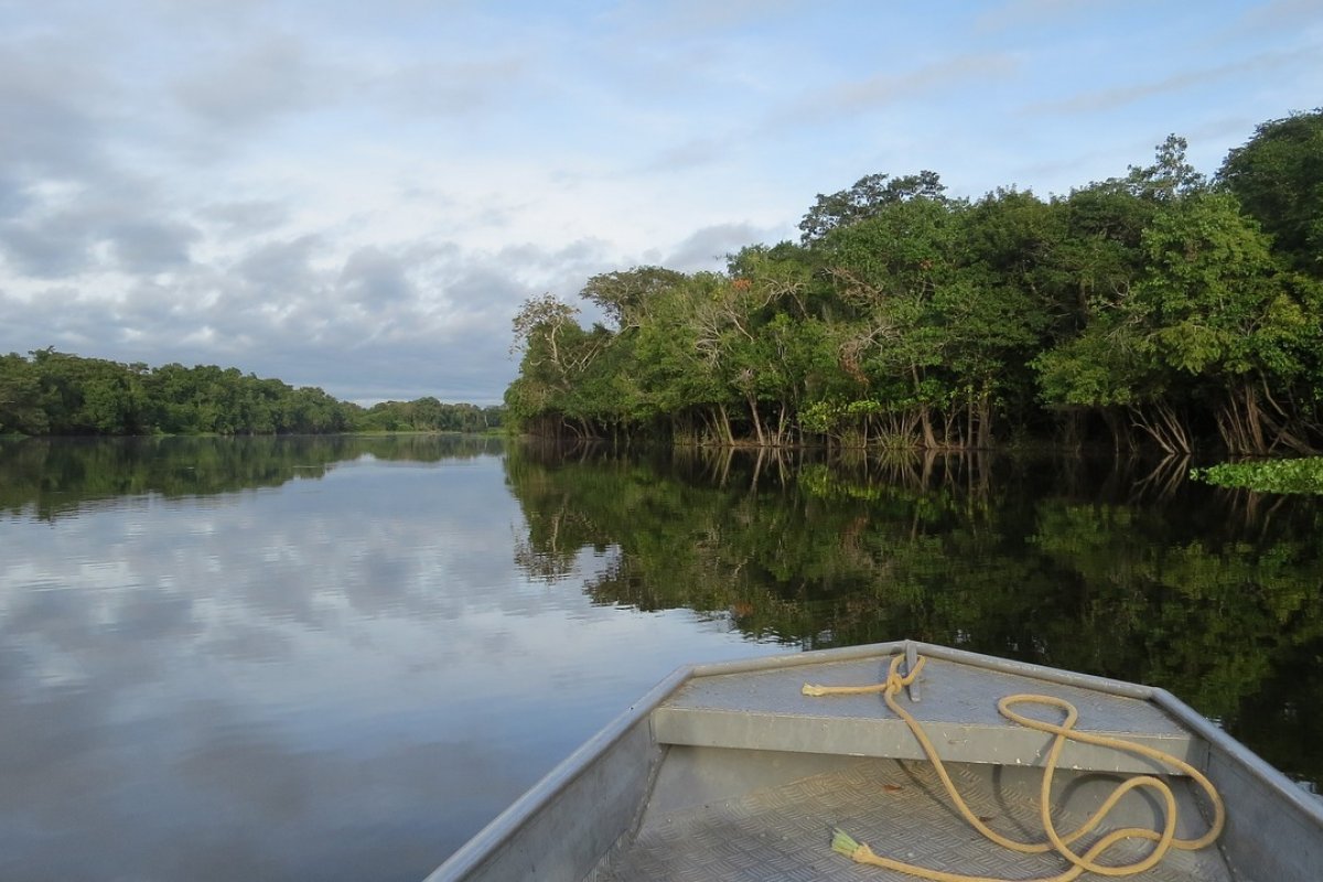 [BNDES avalia investir R$ 1 bilhão do Fundo Amazônia para reforçar segurança na região]
