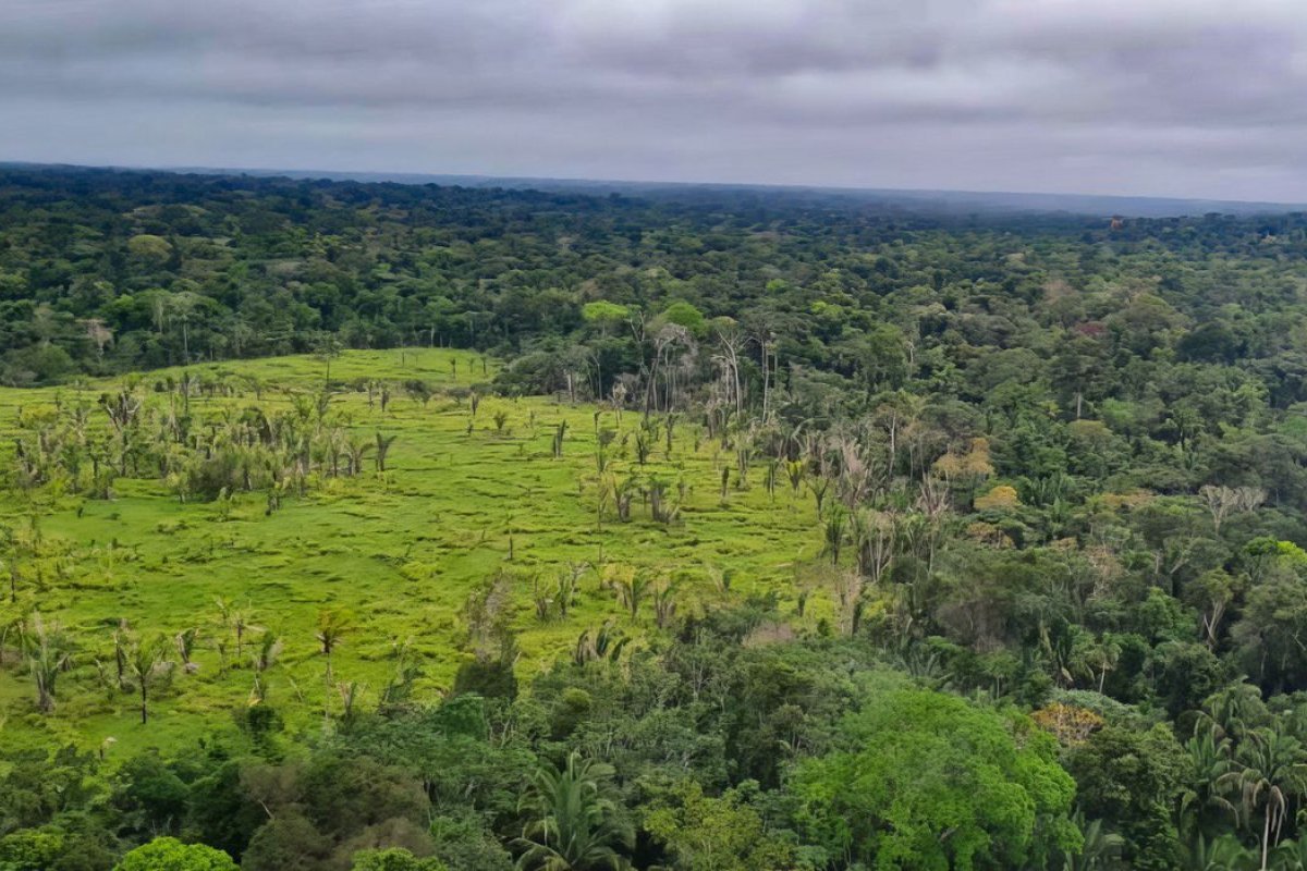 [União Europeia destina 35 milhões de euros para combater desmatamento na Amazônia]