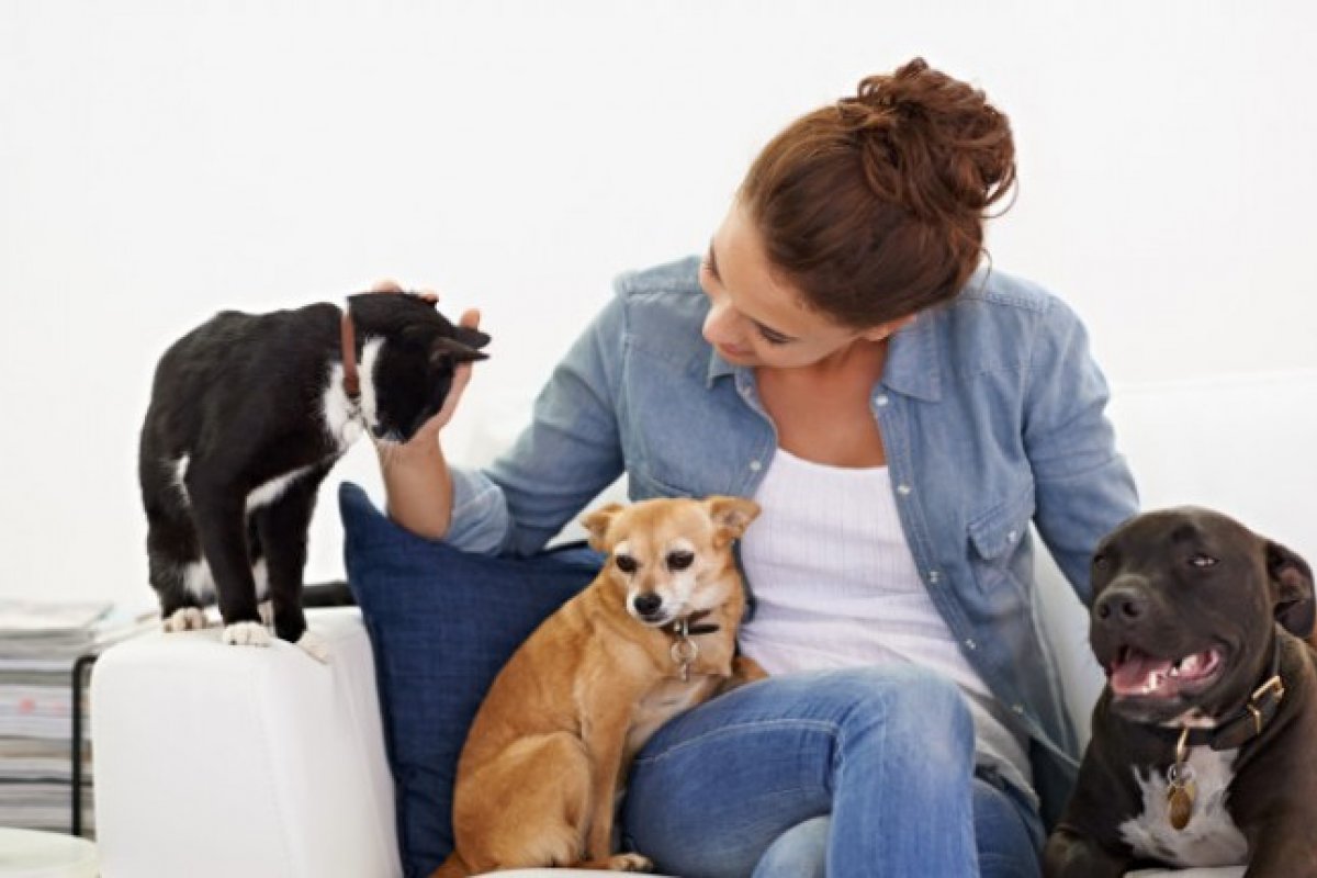 [Tutores de pets do Brasil são um dos mais felizes do mundo, aponta pesquisa]