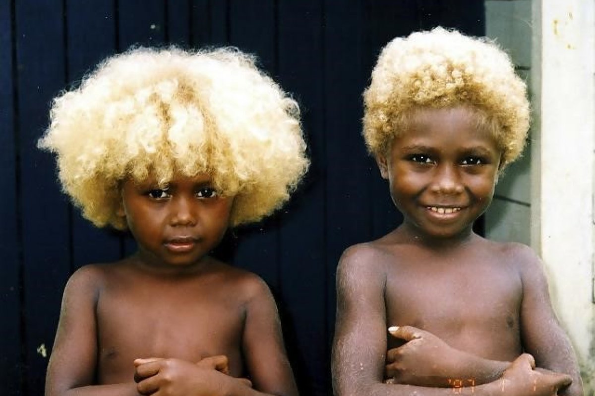 Conheça os melanésios, os únicos negros do mundo com cabelos loiros ...