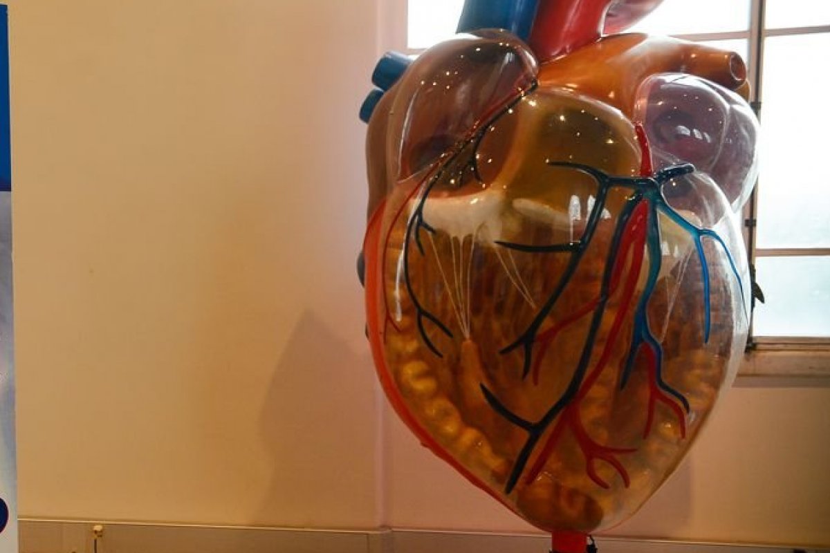 [Dia Mundial do Coração: Bahia tem redução de 26% no número de mortes por infartos ]