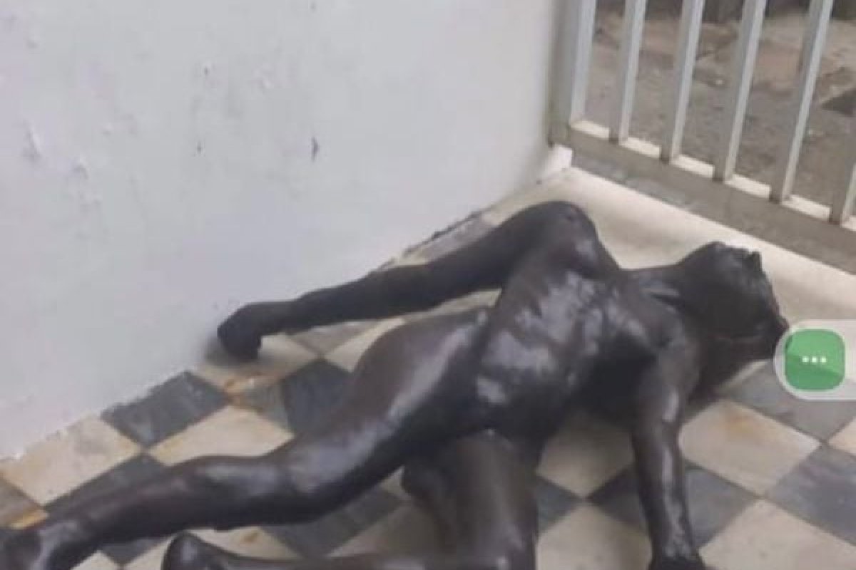 [Museu de Arte da Bahia nega descaso com obras de Auguste Rodin: 'procedimentos técnicos' ]