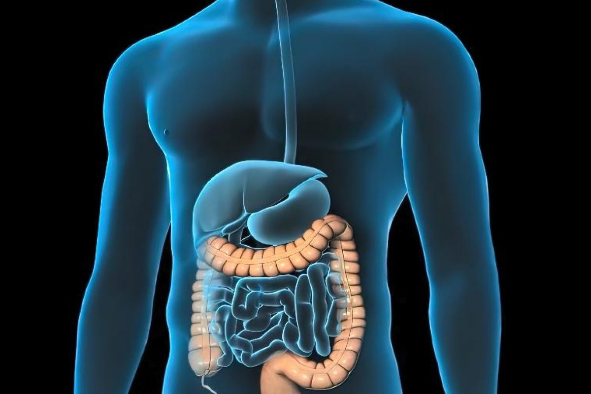 [Estudo revela que microbiota intestinal pode influenciar no câncer colorretal]