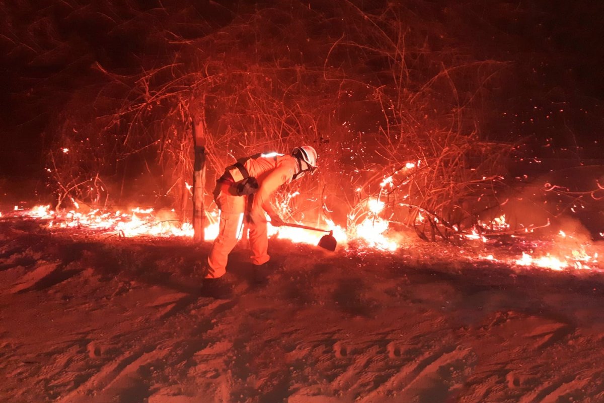 [Incêndio destrói área equivalente a 300 campos de futebol em reserva ambiental no sul da Bahia]