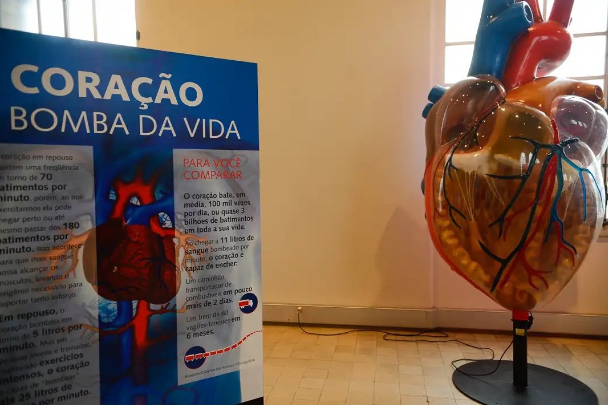[Pesquisadores afirmam que trocar escada por elevador reduz risco de infarto em 20%]