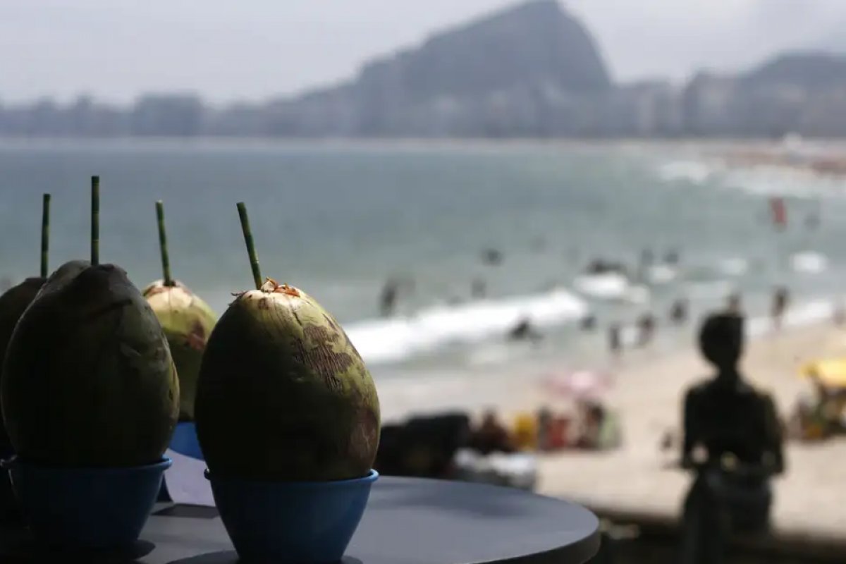 [Turismo deve ter melhor verão em pelo menos 13 anos no Brasil, prevê entidade]