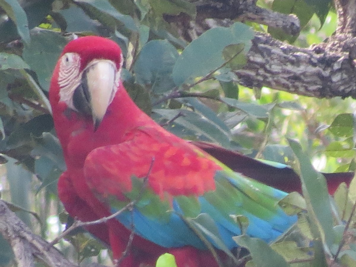 [Bonito, ecoturismo de qualidade no Mato Grosso do Sul]