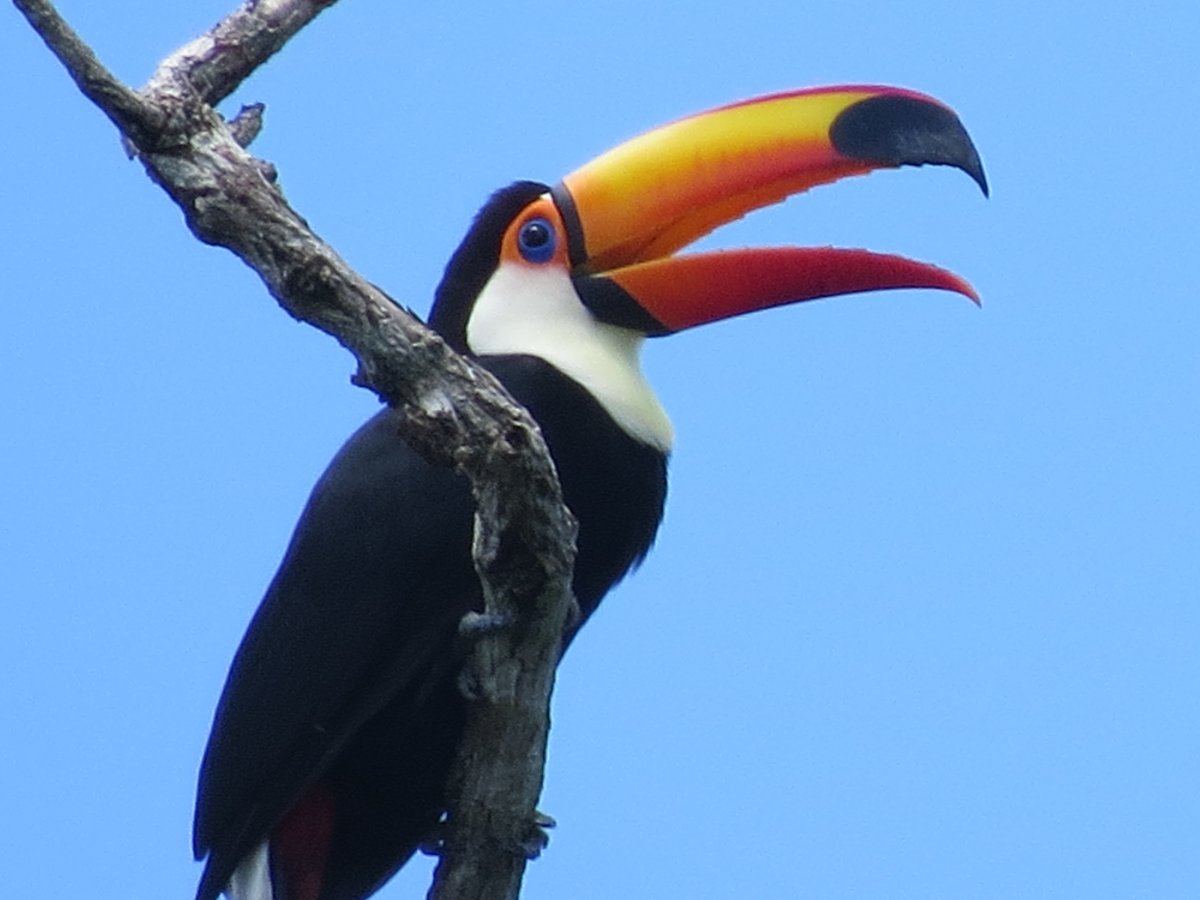 [Bonito, ecoturismo de qualidade no Mato Grosso do Sul]