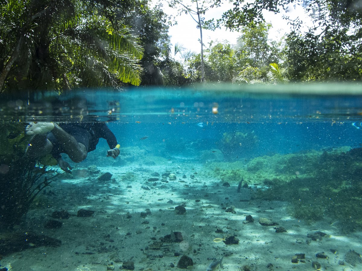 [Bonito, ecoturismo de qualidade no Mato Grosso do Sul]