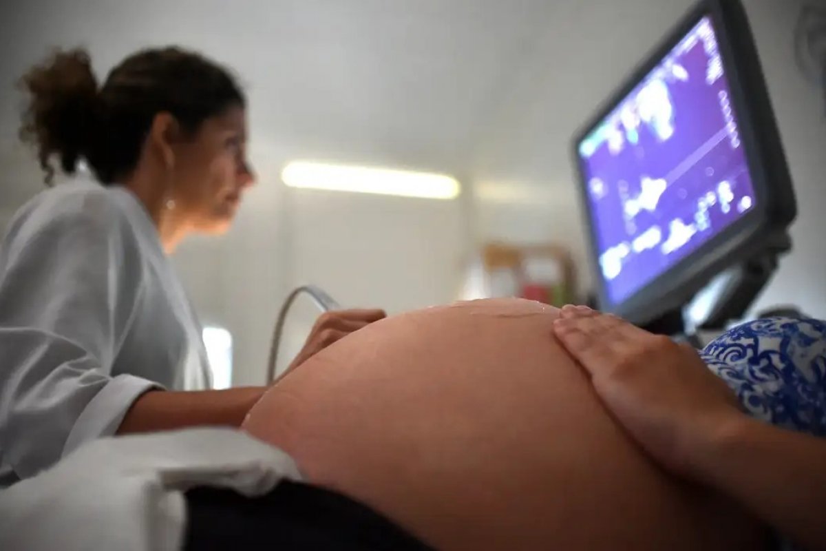 [Congelamento de embriões aumentam mais de 125% em 10 anos no Brasil ]