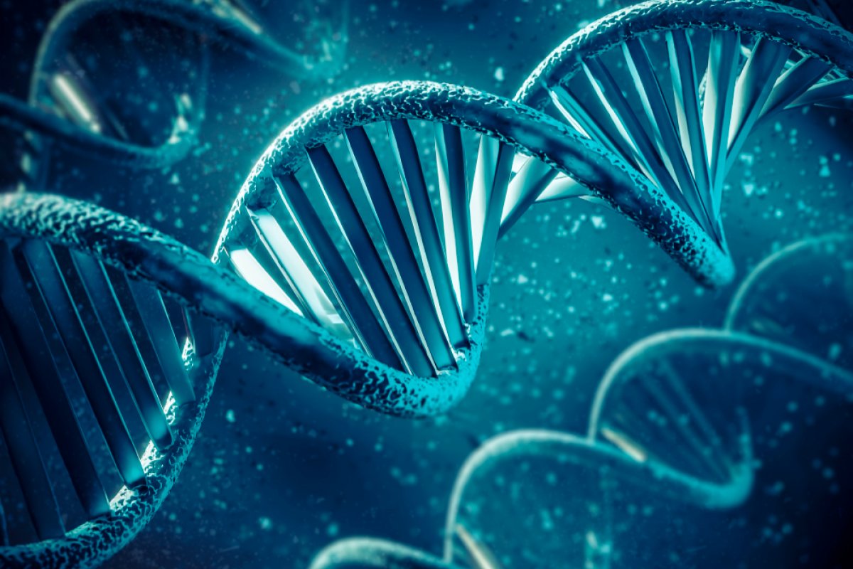 [Criminosos podem se aproveitar de testes de DNA para roubar dados genéticos; saiba como se proteger ]