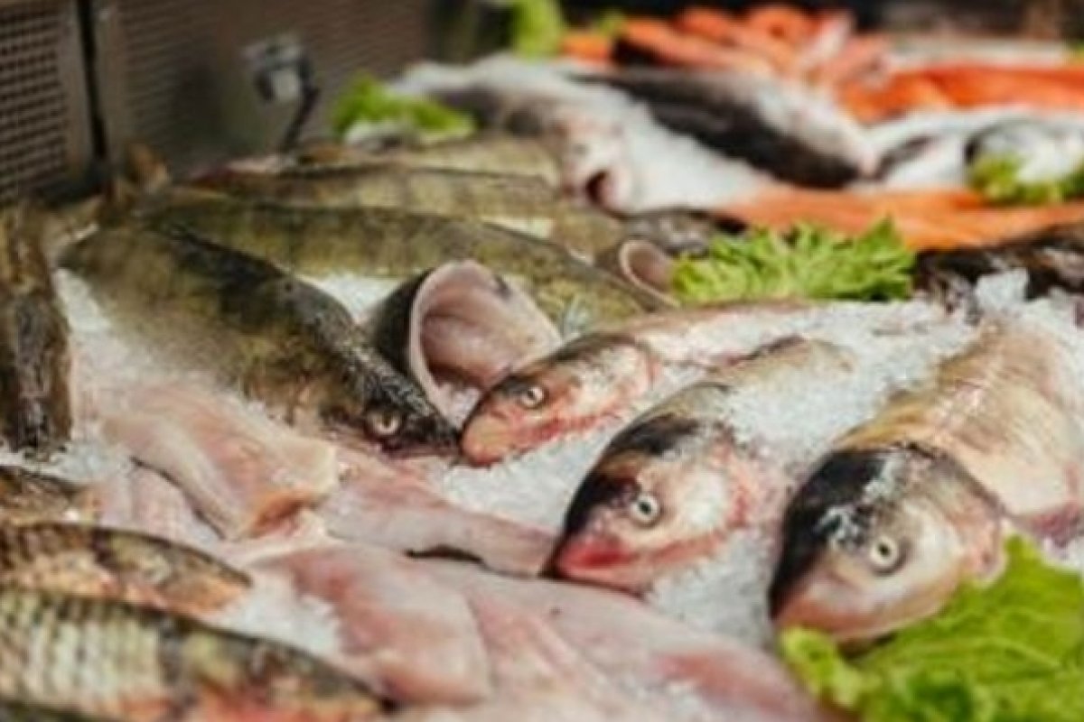 [Saiba como escolher o peixe ideal para sua ceia na Sexta-feira Santa! ]