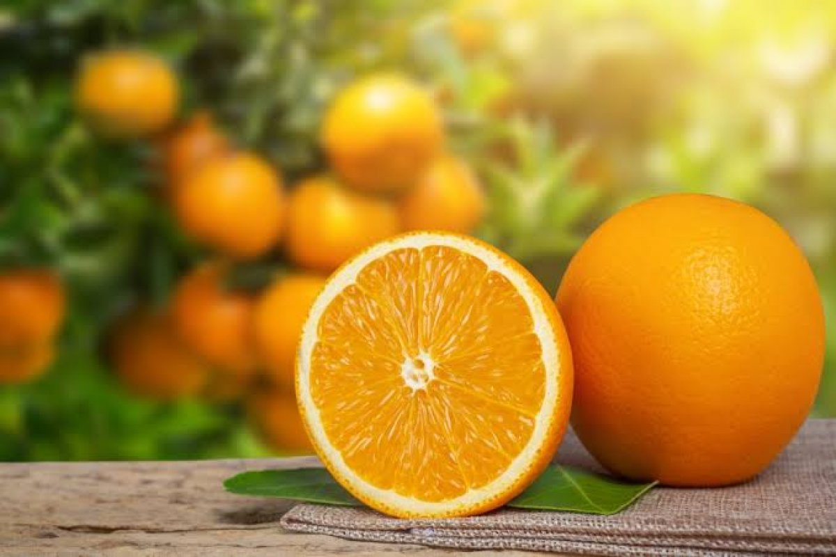 [Pesquisa revela as 5 frutas mais saudáveis do mundo! ]