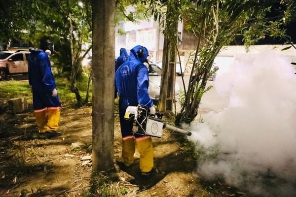 [SMS anuncia fim da epidemia de dengue em Salvador]