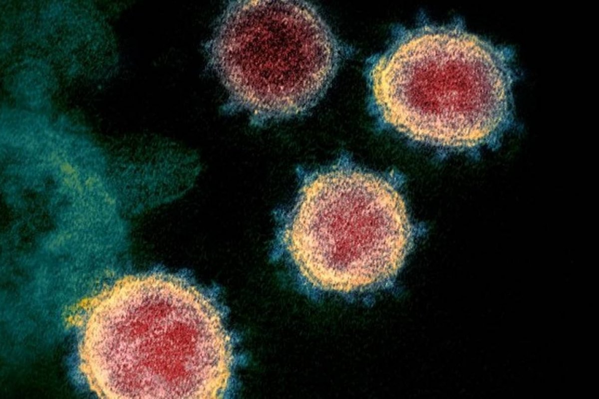 [Mais de 500 mil pessoas já foram infectadas pelo coronavírus no mundo]