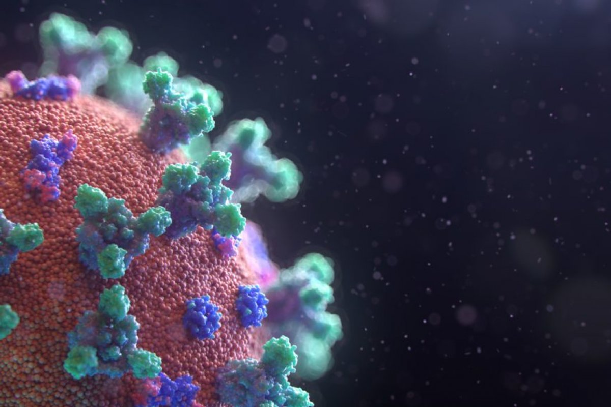 [O que é a carga viral e como isso afeta a transmissão do coronavírus?]
