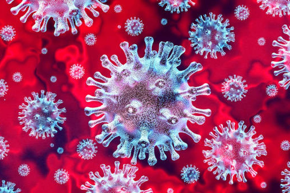 [Novo coronavírus tem potencial para invadir o sistema nervoso central, diz estudo]