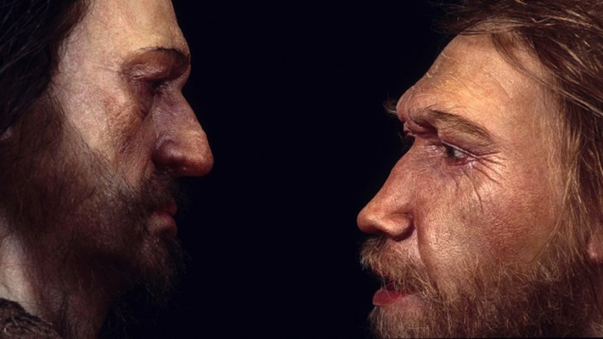 [Supercomputadores revelam por que neandertais foram extintos]