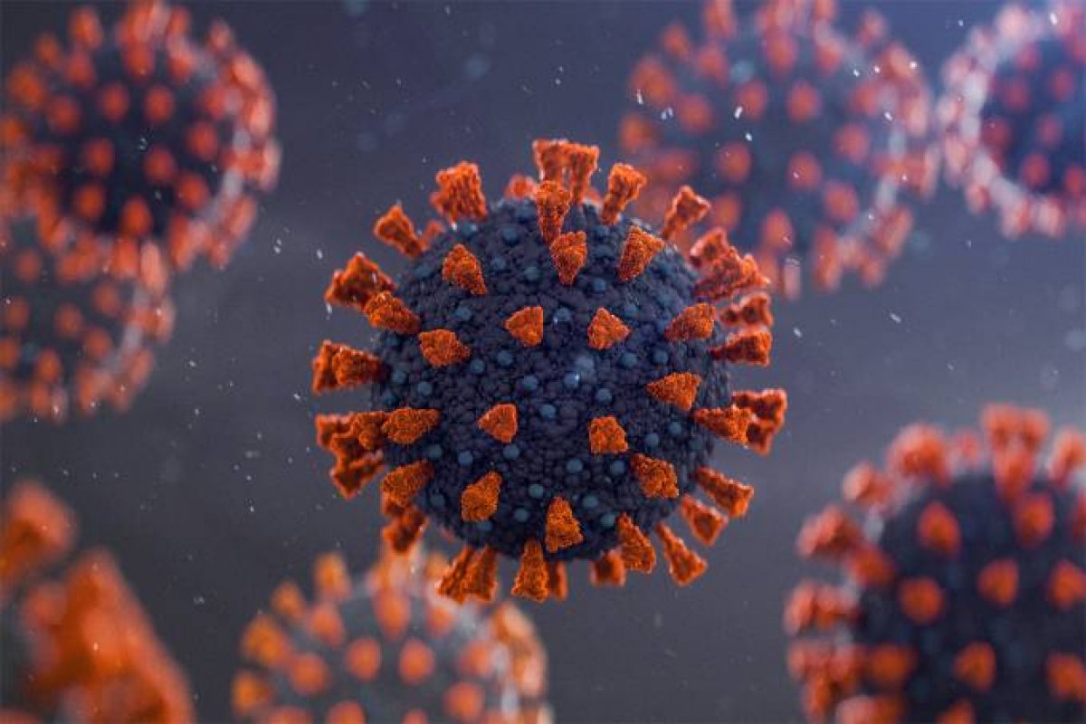 [Brasil atinge marca de 25 mil mortes pelo novo coronavírus]