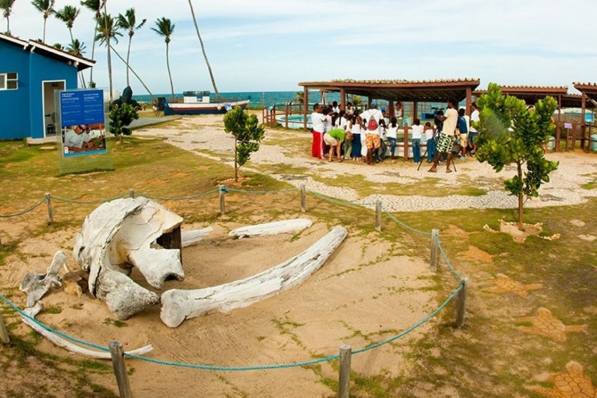 Get Governo Federal Decide Extinguir Base Do Centro Tamar De Arembepe Bahia Farol Da Bahia For Free Wallpaper Governo Federal Decide Extinguir Base Do Centro Tamar De Arembepe Bahia Farol Da Bahia For Android Free