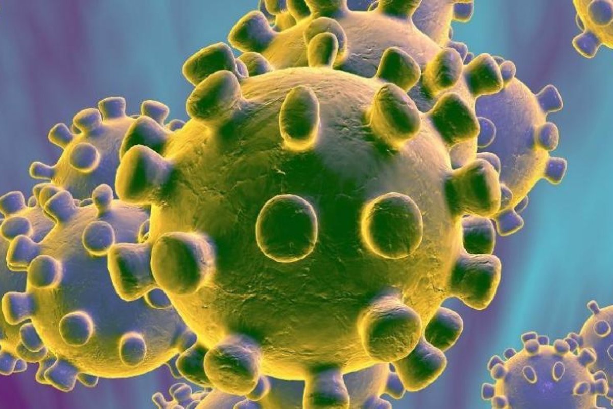 [Estudo mostra que coronavírus mudou e contamina mais do que o virus que originou na China]