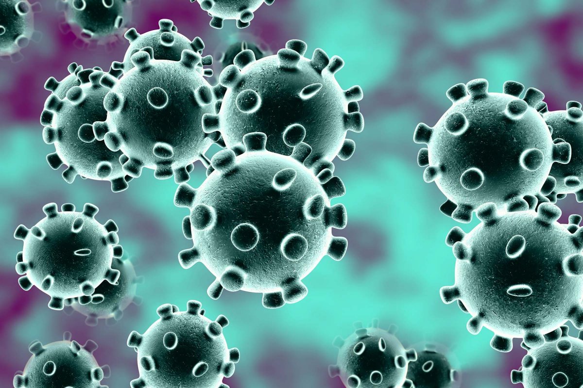 [Coronavírus: Mais de 1,6 milhões de casos já foram registrados no país]