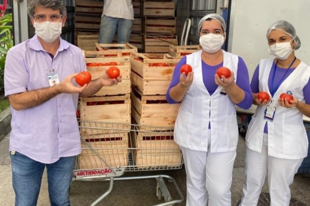 [Corrente do bem: Restaurante Casa de Tereza faz doações de tomates e molhos para Obras Sociais de Irmã Dulce e Martagão Gesteira]