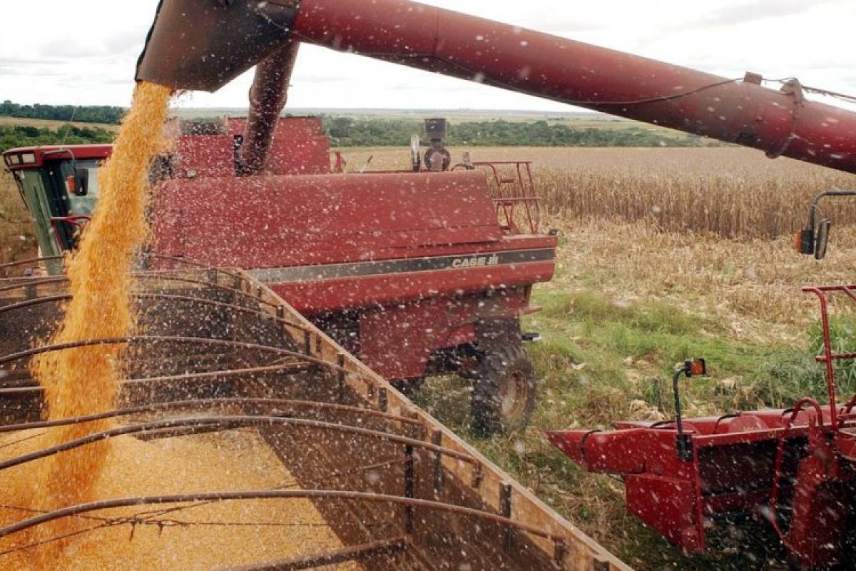 [Levantamento estima safra recorde de cereais, leguminosas e oleaginosas em 247,4 milhões de toneladas em junho]
