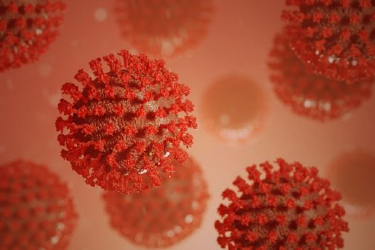 [Coronavírus: Veja os últimos dados atualizados da pandemia nesta terça-feira (11)]