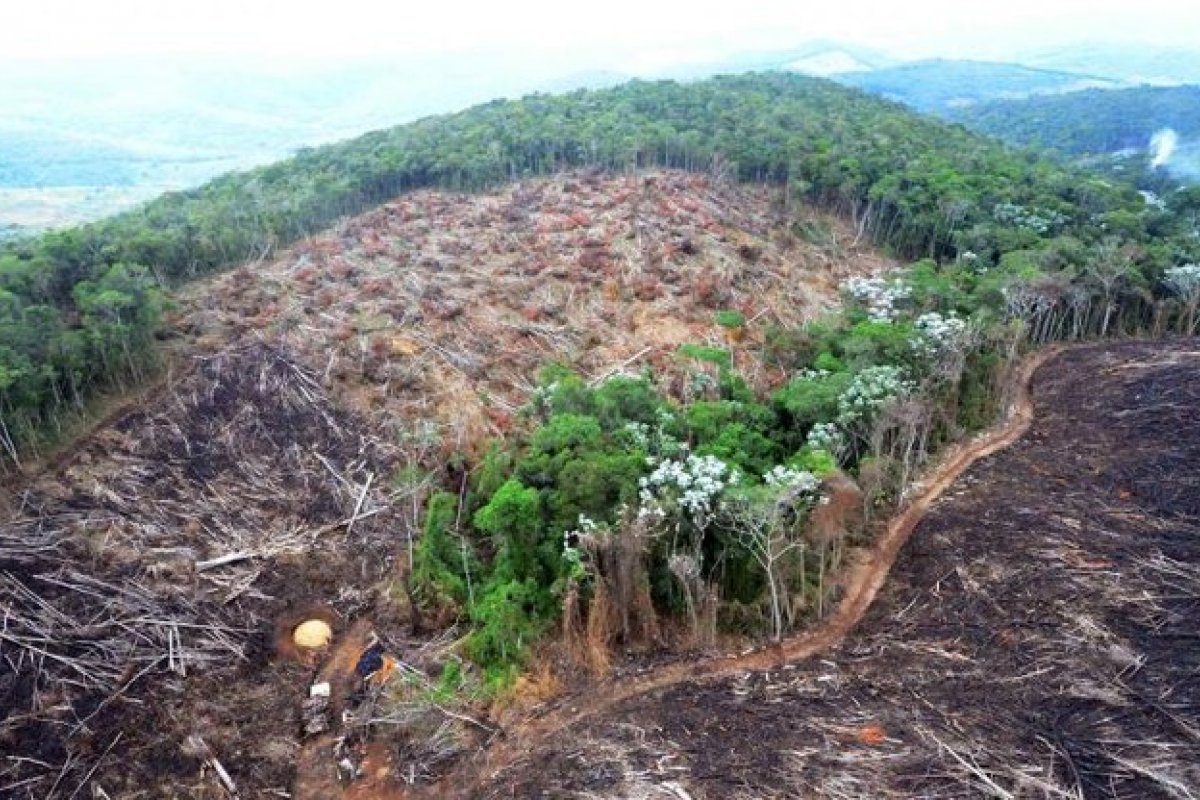 O Que Significa Degradação Ambiental E Cite Três Exemplos