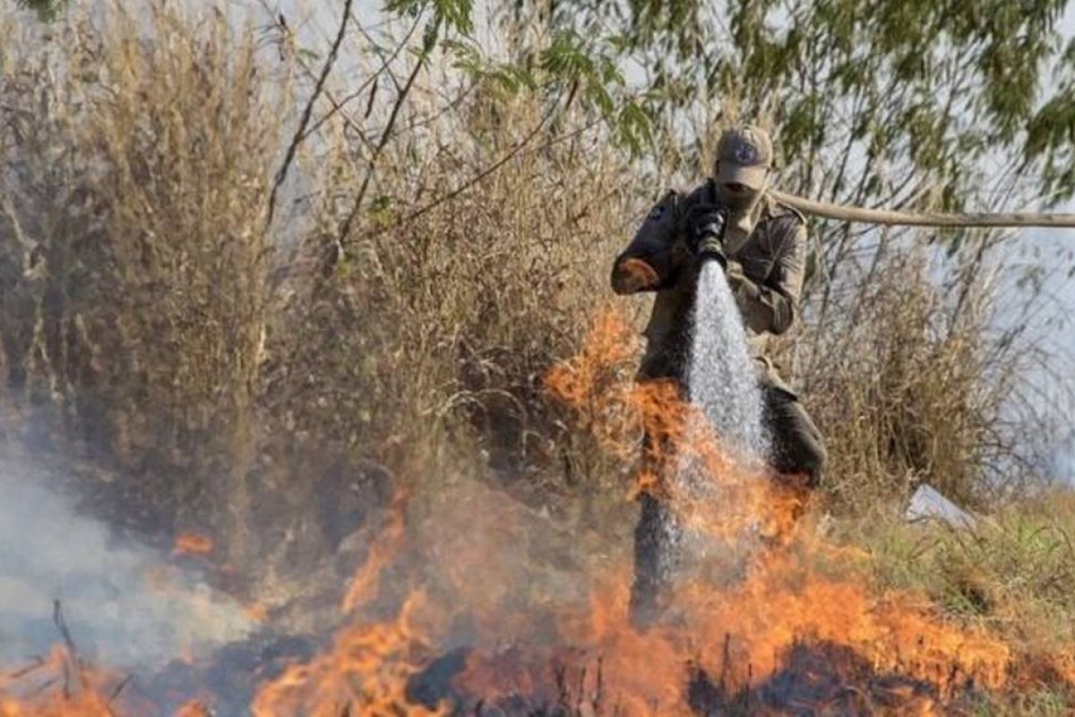 [Salles admite que incêndio no Pantanal tomou proporção 'gigantesca']