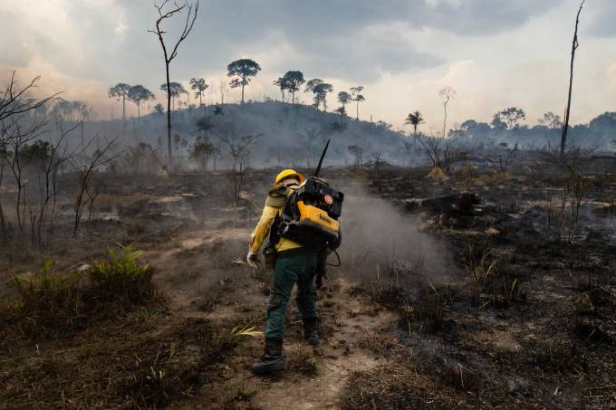 [Brigadistas da Chapada Diamantina, na Bahia, arrecadam doações para enviar voluntários para combater fogos no Pantanal]