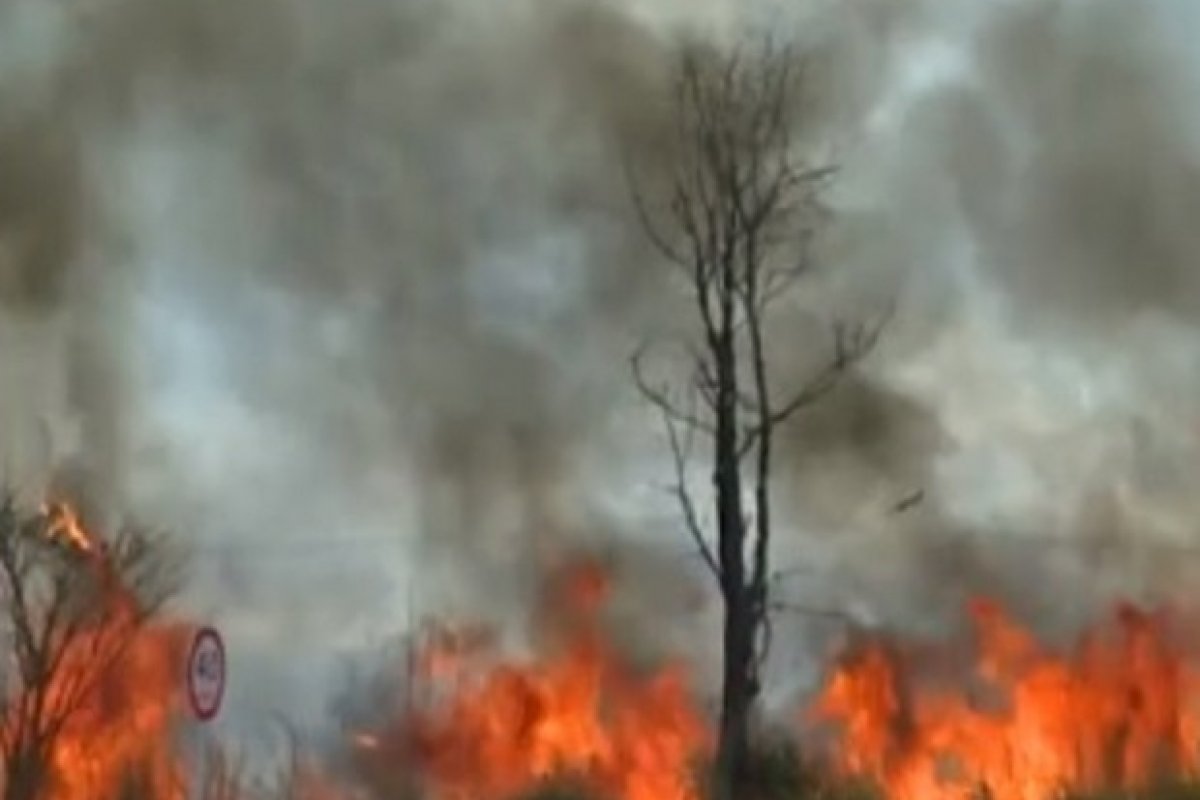 [Mais uma cidade no oeste da Bahia registra incêndio em vegetação nativa]