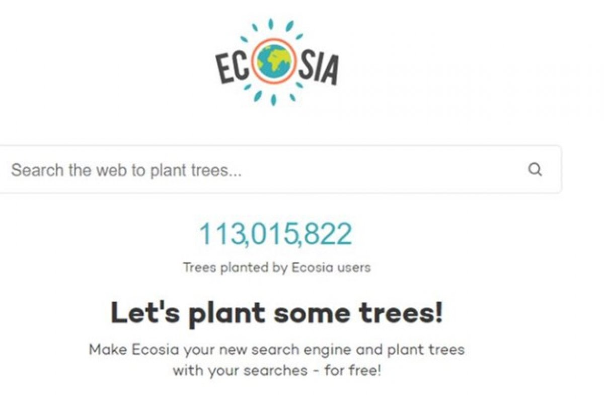 [Conheça o Ecosia, o buscador que planta árvores a cada pesquisa que você faz]