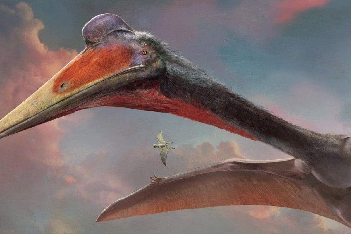 [Pesquisa explica surgimento dos primeiros dinossauro voadores]