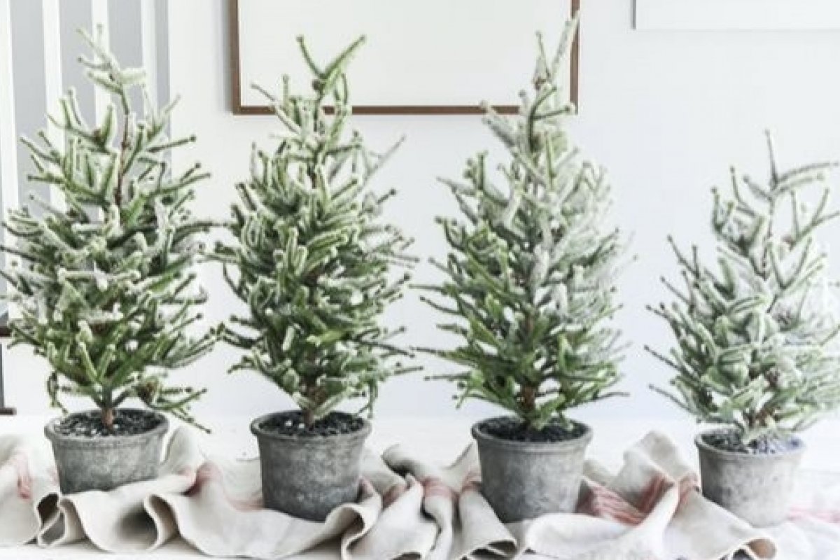 [5 árvores de Natal para espaços pequenos ]