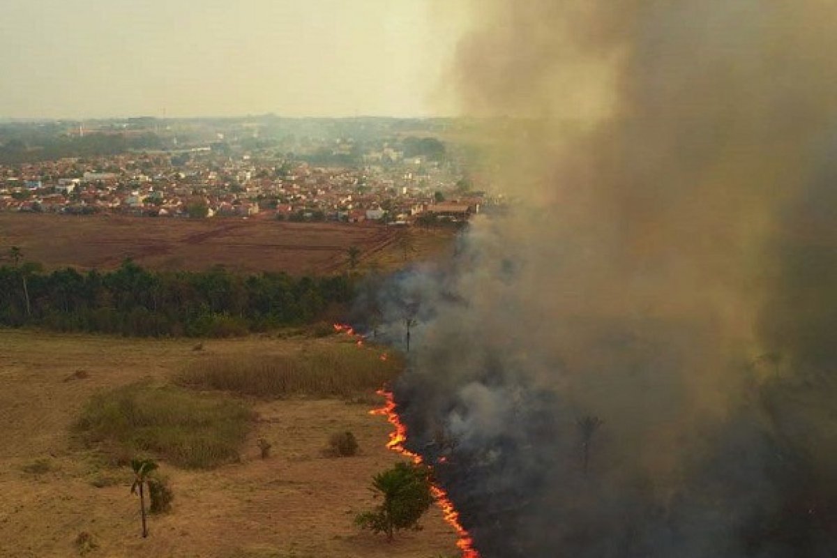 [40% do Pantanal no Mato Grosso foi destruído por queimadas em 2020, diz estudo ]