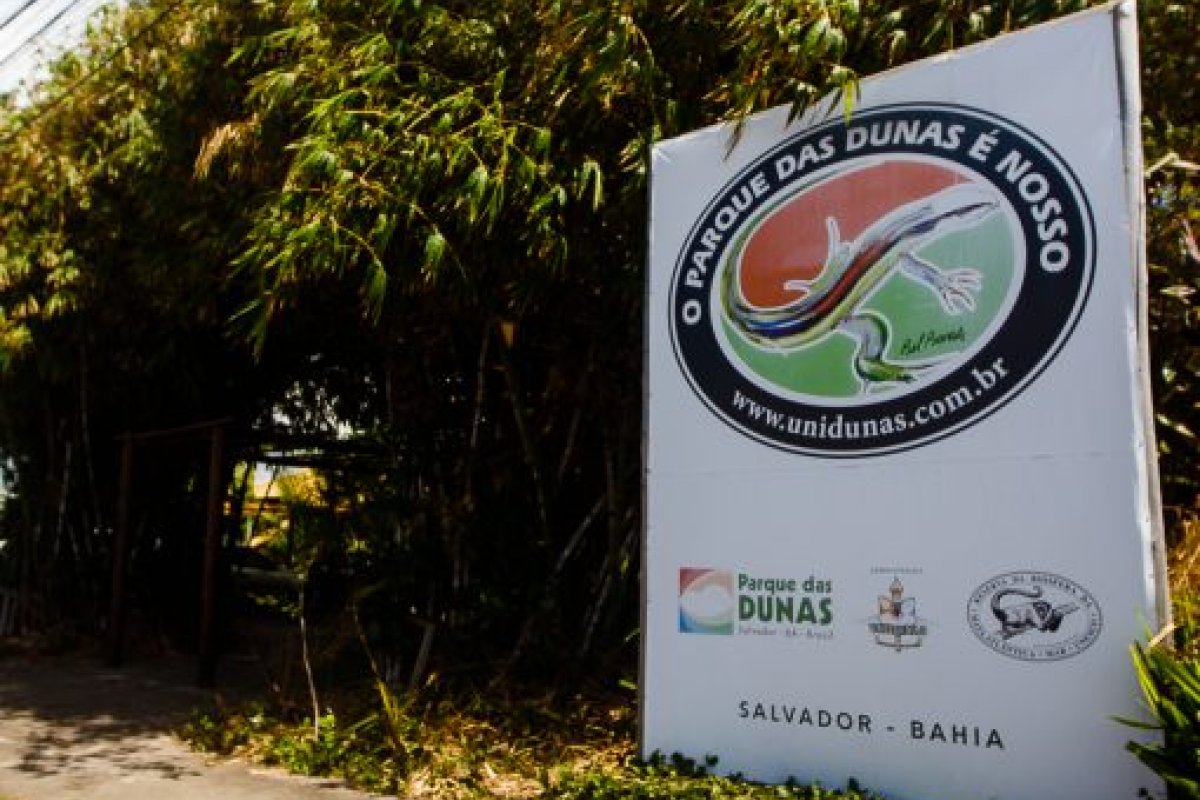 [Parque das Dunas, em Salvador, é citado pela revista Forbes como destino turístico no pós-pandemia ]